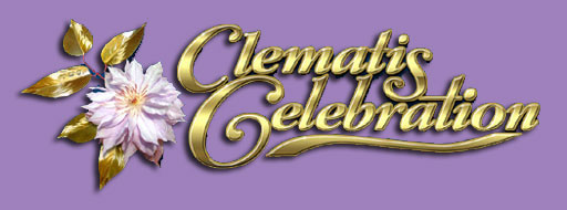 Clematis Celebration